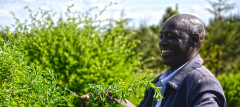 Abraham Kiprotich at his farm in Metkei, Elgeyo/Marakwet County in Kenya. He grows fodder trees, shrubs and grass