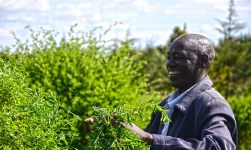Abraham Kiprotich at his farm in Metkei, Elgeyo/Marakwet County in Kenya. He grows fodder trees, shrubs and grass