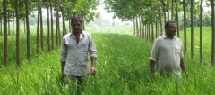 Farmers Chaudhry Sukhvir Singh and Chaudhry Singh at a farm near the town of Indri in India's Haryana state. (Aru Pande/VOA)