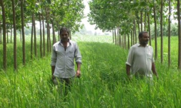 Farmers Chaudhry Sukhvir Singh and Chaudhry Singh at a farm near the town of Indri in India's Haryana state. (Aru Pande/VOA)