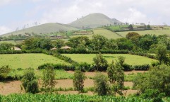 Tanzania Landscape