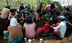 Photo caption: Farmer training in Bulukumba, South Sulawesi.  Photo by Enggar Paramita/ICRAF