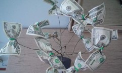 trees and money
